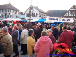 strassenfasching_5_20131213_1721732848