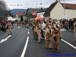 fasentumzug_24_20131213_1755924529