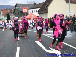 fasentumzug_53_20131213_1748165378