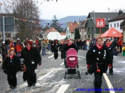 fasentumzug_96_20131213_1122805958