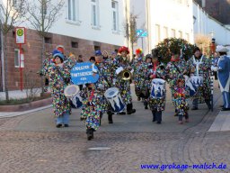 narrenbaum_stellen_12_20131218_1208873309