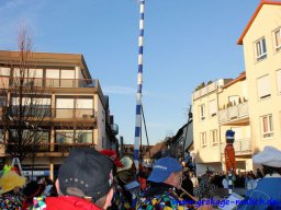 Narrenbaum stellen
