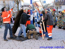 narrenbaum_stellen_20_20131218_1739690226