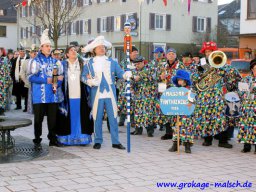 narrenbaum_stellen_21_20131218_1717356520