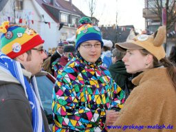 narrenbaum_stellen_35_20131218_1203911334