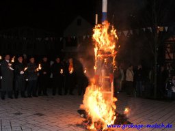 Verbrennung Prinz Karneval