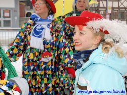 narrenbaum_stellen_11_20131223_2064249367