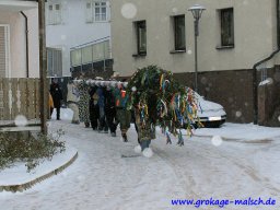 narrenbaum_stellen_14_20131223_1062532647