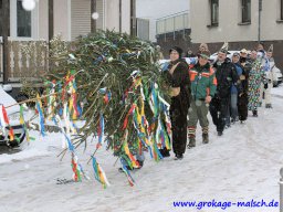 narrenbaum_stellen_15_20131223_1394196802