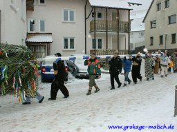 narrenbaum_stellen_16_20131223_1239962963