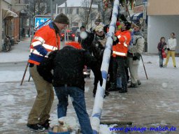 narrenbaum_stellen_18_20131223_1911386302