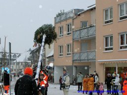 narrenbaum_stellen_19_20131223_1396792498