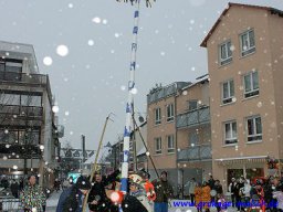 narrenbaum_stellen_20_20131223_1509455779