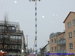 narrenbaum_stellen_21_20131223_2045799618