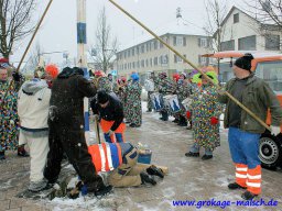 narrenbaum_stellen_23_20131223_1712573961