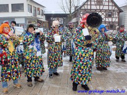 narrenbaum_stellen_28_20131223_1585007626