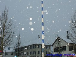 narrenbaum_stellen_29_20131223_1603101756