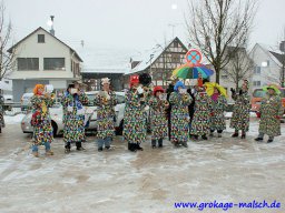 narrenbaum_stellen_4_20131223_1602234890