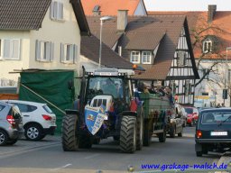 narrenbaum_stellen_1_20131223_1030548002