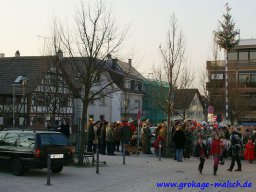 narrenbaum_stellen_46_20131223_1443471852