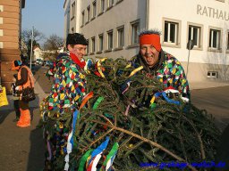 narrenbaum_stellen_5_20131223_1133266100