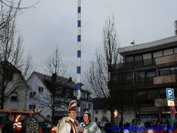 narrenbaum_stellen_38_20131223_1141783962