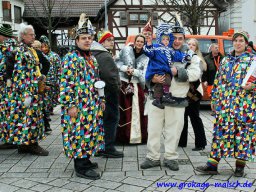 narrenbaum_stellen_45_20131223_1924061051