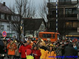 narrenbaum_stellen_52_20131223_1011911072