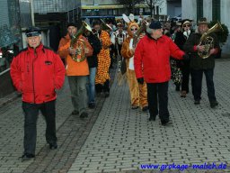 narrenbaum_stellen_54_20131223_1648679648