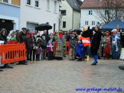 narrenbaum_stellen_25_20131223_1166372765