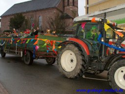 narrenbaum_stellen_2_20131223_1743291869