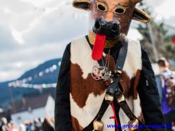 umgsimpressionen_von_mdd_45_20150226_1003642688