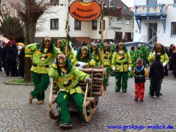 umzug_85_geburtstag_bilder_franz_gerstner_151_20150226_1347621817