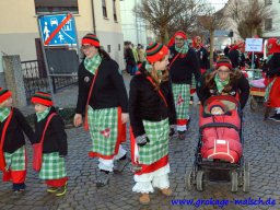 umzug_85_geburtstag_bilder_franz_gerstner_38_20150226_1430135660