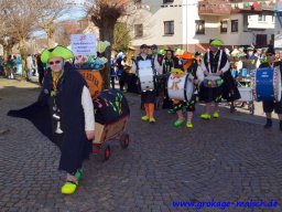 umzug_85_geburtstag_bilder_franz_gerstner_72_20150226_1507374679