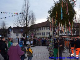 narrenbaum_stellen_18_20150226_1845300897