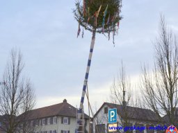 narrenbaum_stellen_21_20150226_1678081498