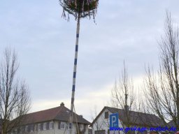 narrenbaum_stellen_22_20150226_1418883331