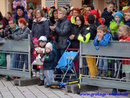 narrenbaum_stellen_30_20150226_1612519279