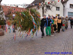 narrenbaum_stellen_7_20150226_1916554763