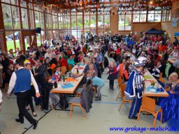naerrischer_fruehschoppen_108_20150226_1807654875