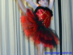 naerrischer_fruehschoppen_114_20150226_1081492867