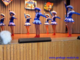 naerrischer_fruehschoppen_39_20150226_2047585683