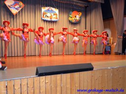 naerrischer_fruehschoppen_76_20150226_2024459816