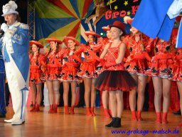 1_prunksitzung_29_20150226_1371548807