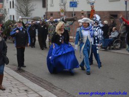 narrenbaum_stellen_11_20150226_1051142851