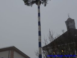 narrenbaum_stellen_17_20150226_1436803936