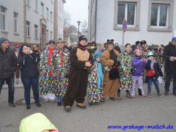 narrenbaum_stellen_21_20150226_1895690840