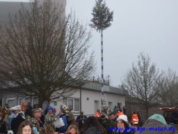 narrenbaum_stellen_28_20150226_1878916152