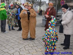 narrenbaum_stellen_4_20150226_1789559007